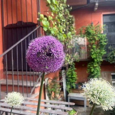 Come A Casa Castelletto sopra Ticino Dış mekan fotoğraf